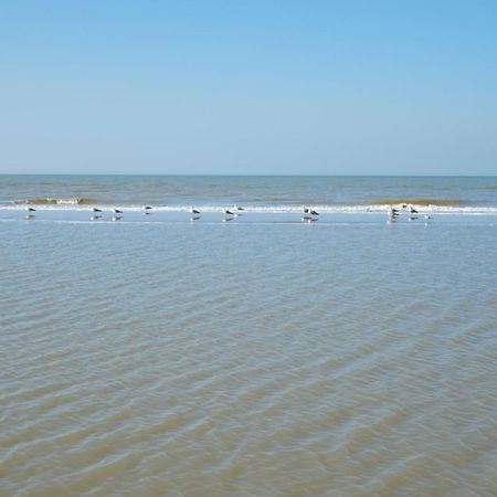Familie Zwinkels Leilighet Zandvoort Eksteriør bilde