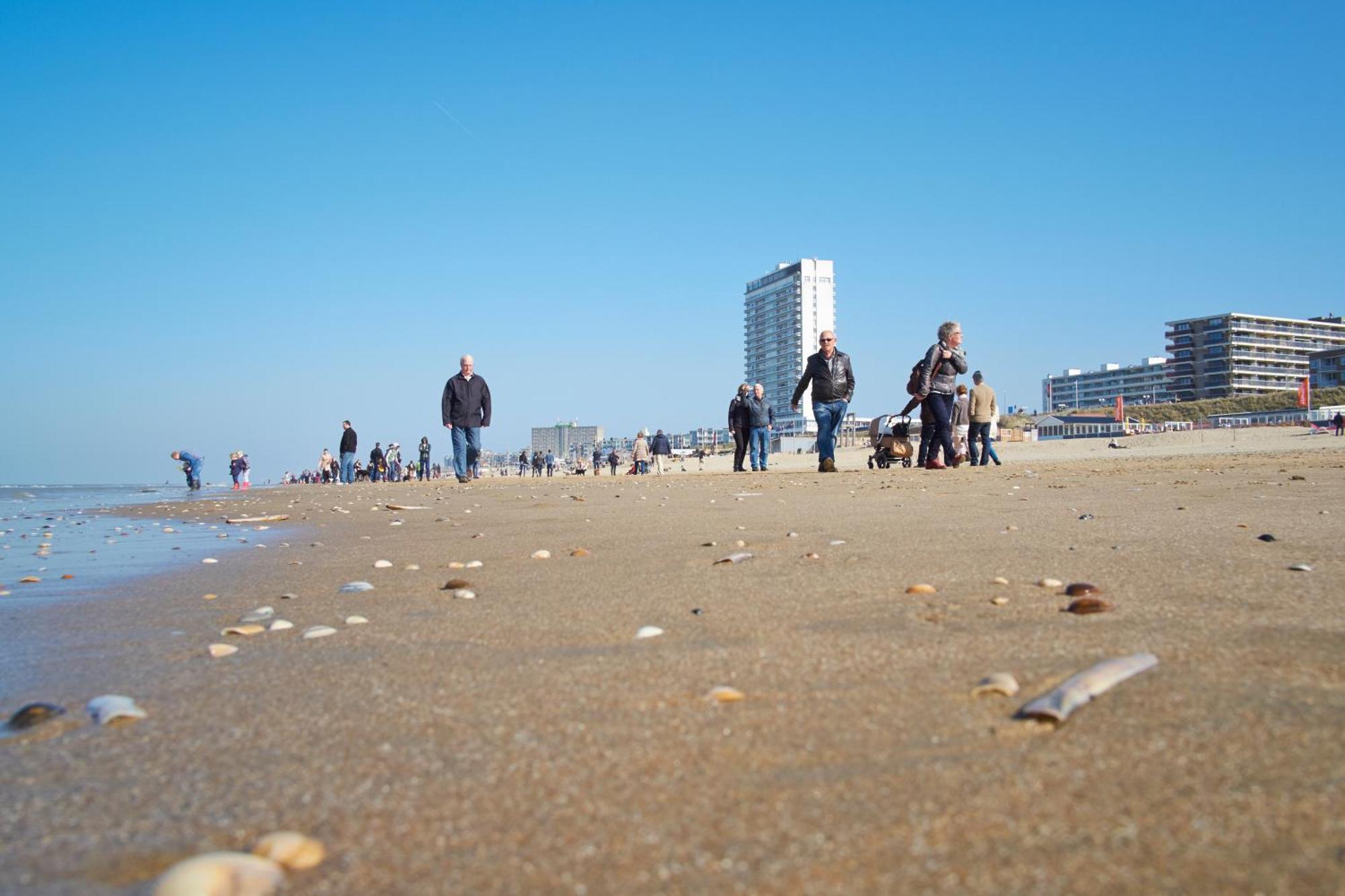 Familie Zwinkels Leilighet Zandvoort Eksteriør bilde